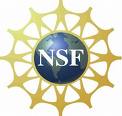 logo NSF